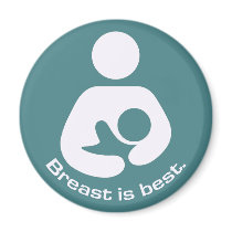 Breast Is Best Icon - Teal Magnets