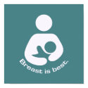 Breast Is Best Icon - Teal posters