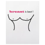 breast is best letterhead design