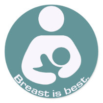Breastfeeding Icon Breast Is Best Teal Stickers
