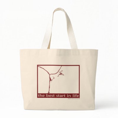 Breastfeeding - the best start in life canvas bag by lactivist