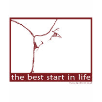 Breastfeeding - the best start in life t-shirts