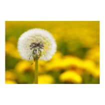 Breath flower