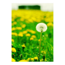 Breath flower