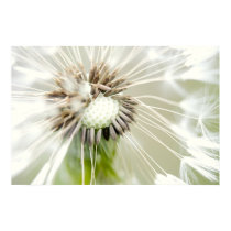 Breath flower