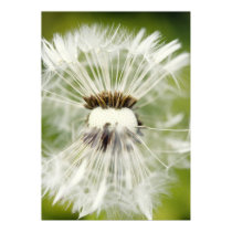 Breath flower