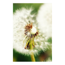 Breath flower