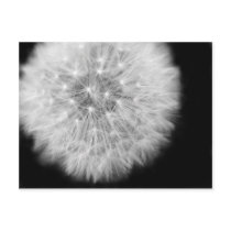 Breath flower postcard