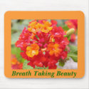 Breath Taking Beauty mousepads