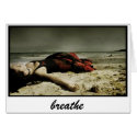 breathe card
