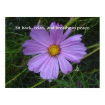 Breathe in Peace posters