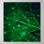 Breathe Print