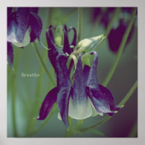 Breathe - Square Poster