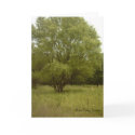 Breathing Room Card by Poetlady Breathing Room Card