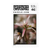 Breathless Blush Euphorbia Postage Stamps