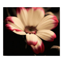 Breathless Poster / Framed Print by Eseffpe Breathless Poster / Framed Print