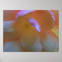 Breathtaking Begonia Canvas Print