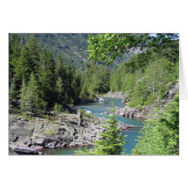 Breathtaking National Forest cards