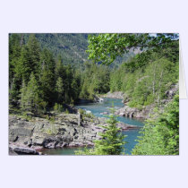 Breathtaking National Forest cards