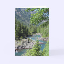 Breathtaking National Forest cards