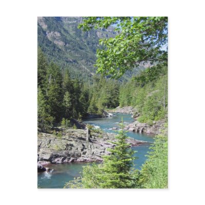 Breathtaking National Forest Post Cards by BlueSkiesGallery