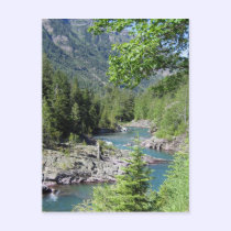 Breathtaking National Forest postcards