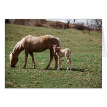 Bree & Jac Greeting Cards
