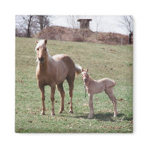 Bree & Jac Fridge Magnet
