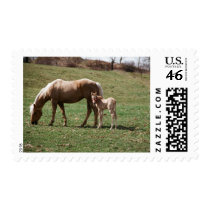 Bree & Jac Postage Stamp
