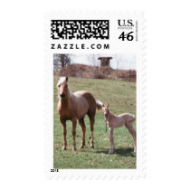 Bree & Jac Stamps
