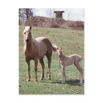 Bree & Jac Post Cards