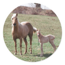 Bree & Jac Stickers