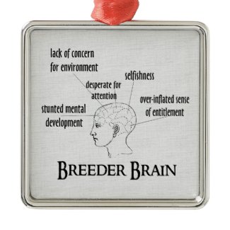 Breeder Brain ornament