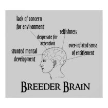 Breeder Brain posters