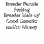Breeder Female T-Shirt
