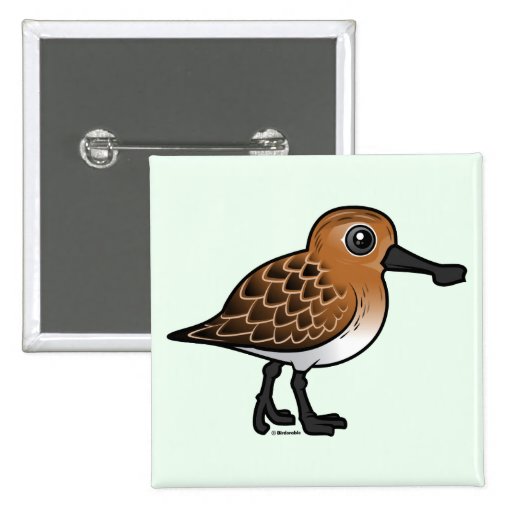 Breeding Spoon-billed Sandpiper Button