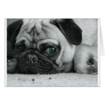 breena pic greeting card