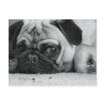 breena pic postcards