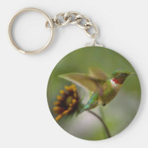 Breezing By Key Chain