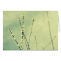 Breezy cards