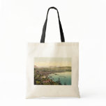 Bregenz from "Haggen", Tyrol, Austro-Hungary rare bags