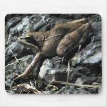 Brekeke Frog mousepads