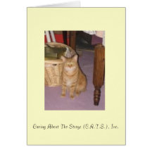 Brenda Notecards