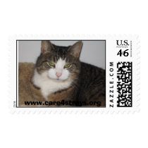 Brenda Postage postage