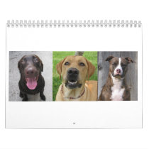 BRENDAS calendars by vicki_cacciatore BRENDAS calendars