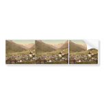 Brenner Railway, Gossensass, Tyrol, Austro-Hungary Bumper Stickers