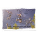 brent Denton posters