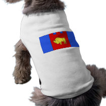 Brest Voblast Belarus, Brazil pet clothing by bestflag Brest Voblast Belarus, Brazil pet clothing
