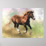 Breton draft horse foal print