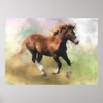 Breton draft horse foal print